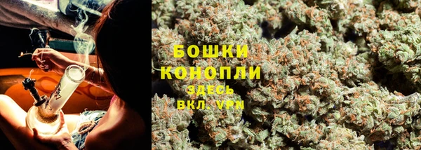PSILOCYBIN Балабаново
