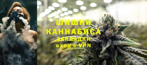 PSILOCYBIN Балабаново