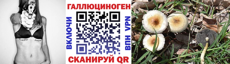 Галлюциногенные грибы Magic Shrooms хочу Саянск